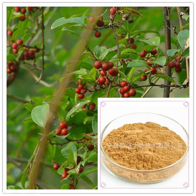 菝葜根提取物20:  菝葜根浸膏粉 金刚藤提取物 金刚刺 菝葜皂甙