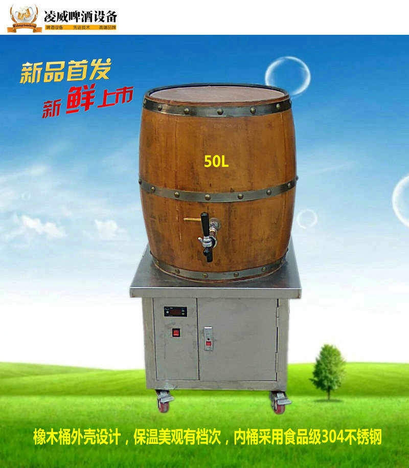 啤酒设备50升小型家庭自酿扎啤机精酿啤酒