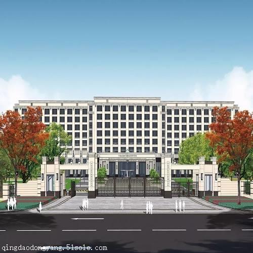河南省 裕鸿国际学校 体育运动木地板安装效果图