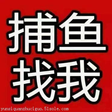 电玩城捕鱼游戏平台,千炮捕鱼游戏平台