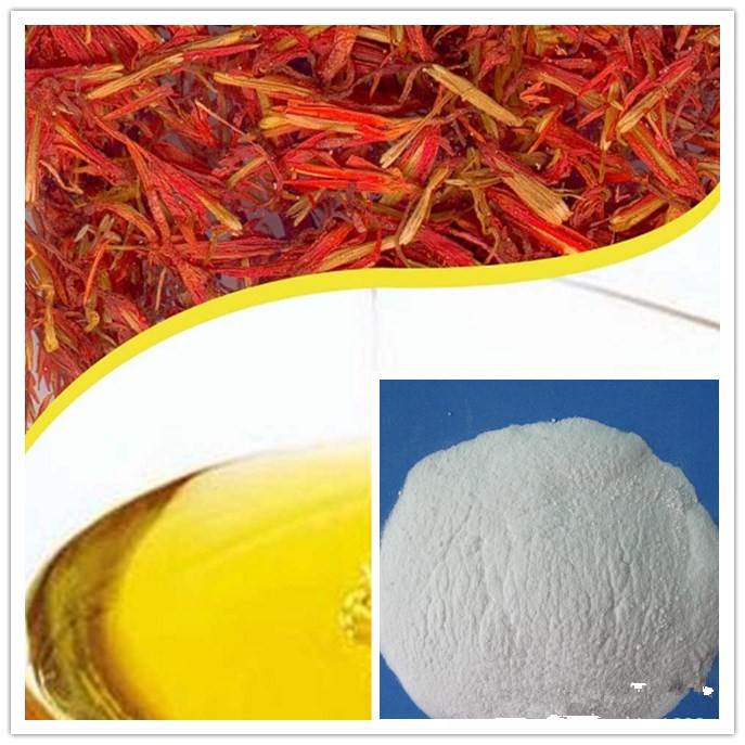 红花籽油微囊粉 红花籽油粉 品质保证量大从优红花籽油微囊粉价格