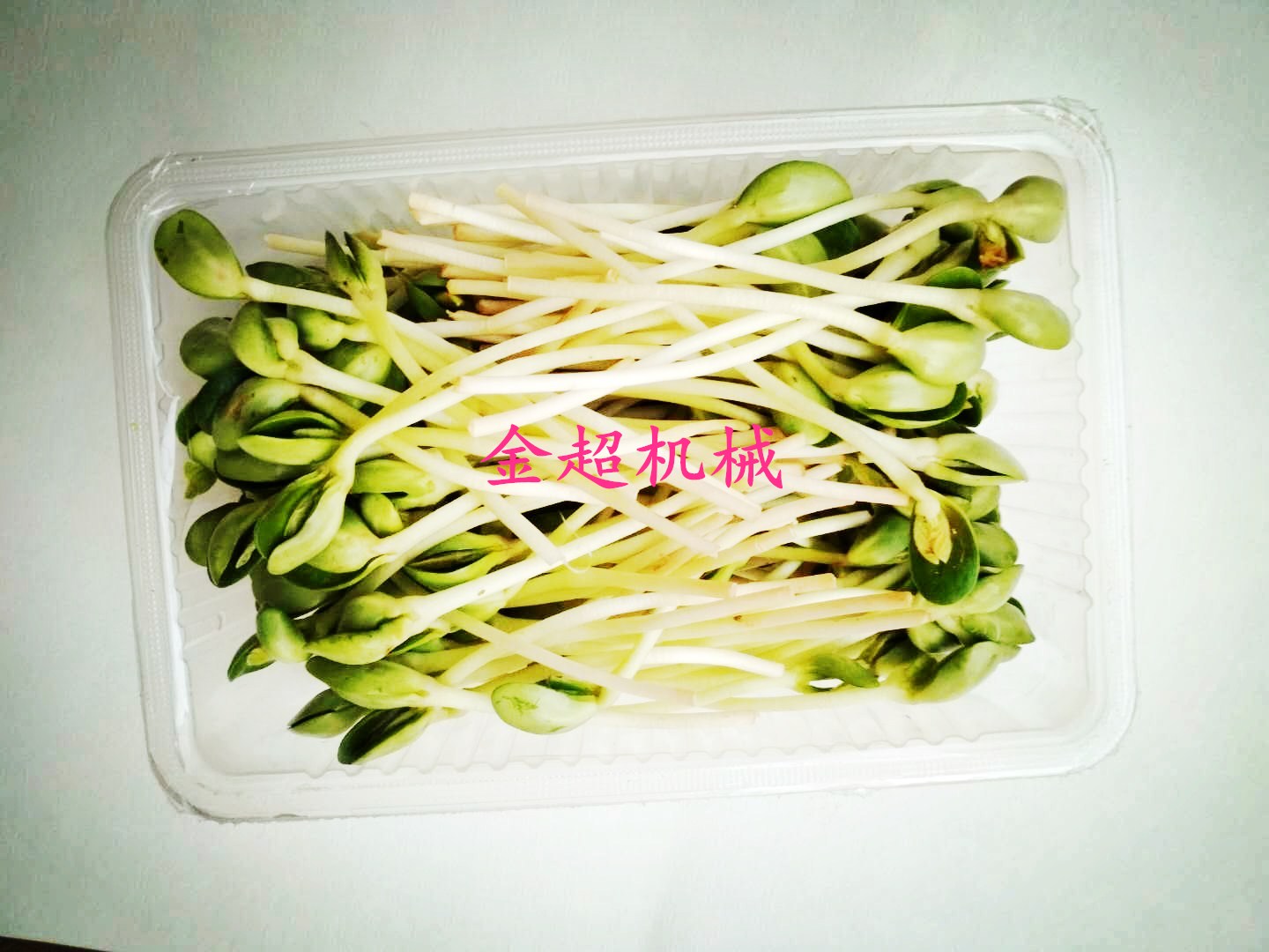 金超JC-2蔬菜水果盒装气调包装机
