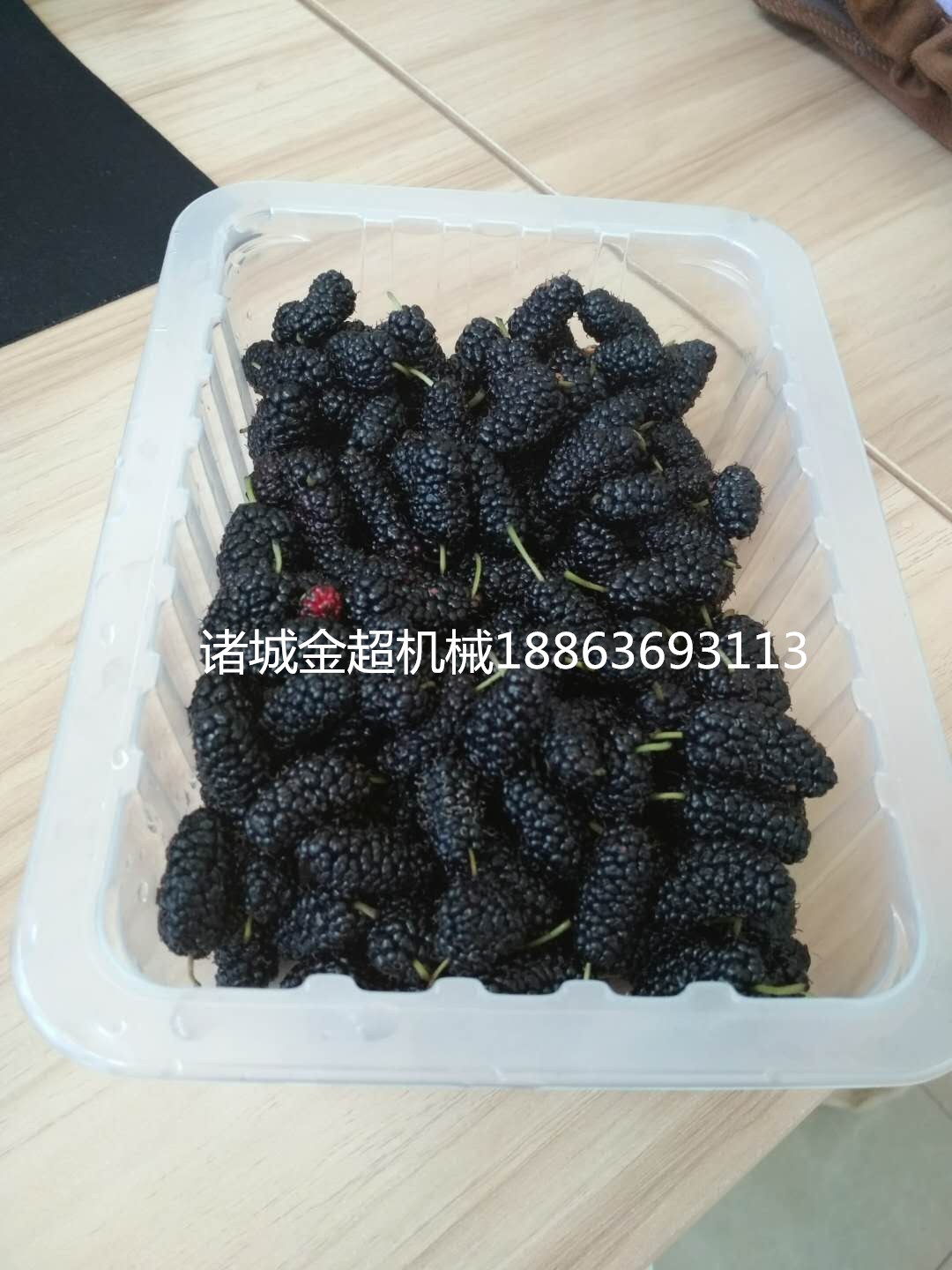 金超JC-2蔬菜水果盒装气调包装机