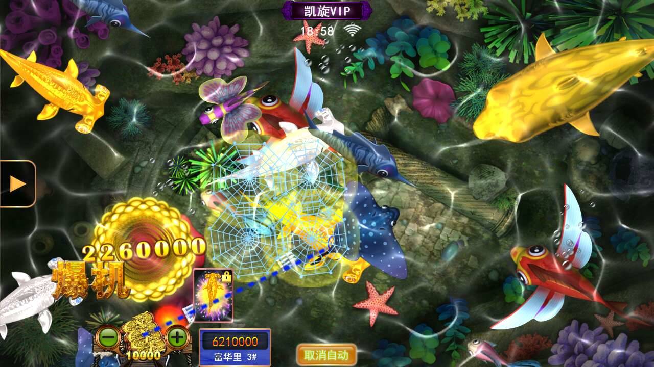 星力游戏代理,玩家多