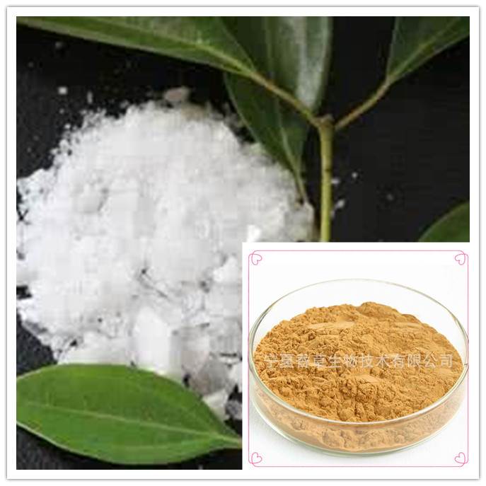 龙脑提取物20:1目数80-100目 冰片提取物 龙脑浸膏粉 龙脑速溶粉