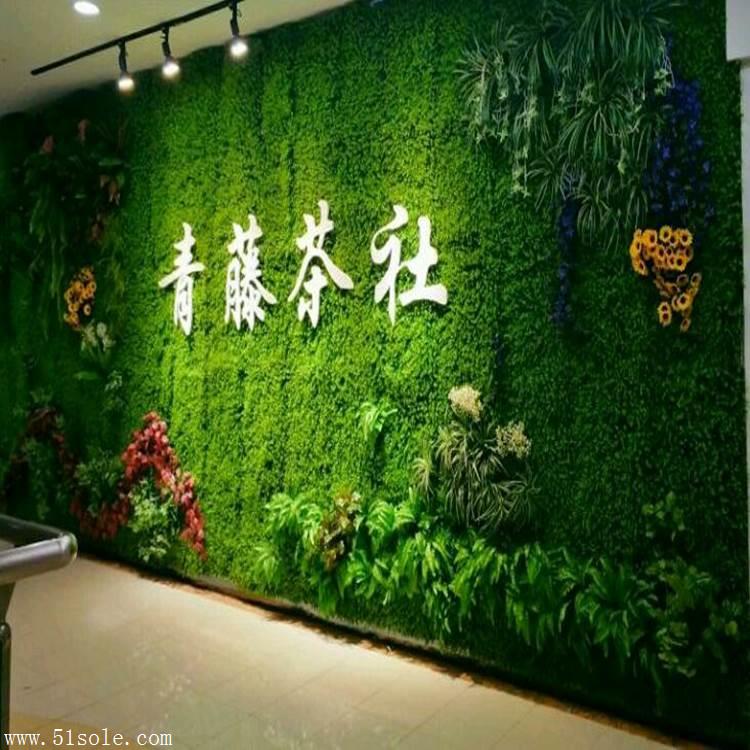 仿真植物背景墙草坪绿化墙体地毯草皮假叶子挂墙绿植