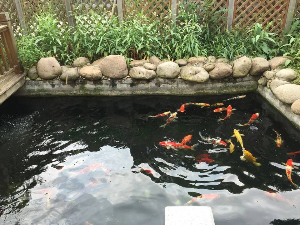 长沙假山鱼池设计庭院鱼池施工