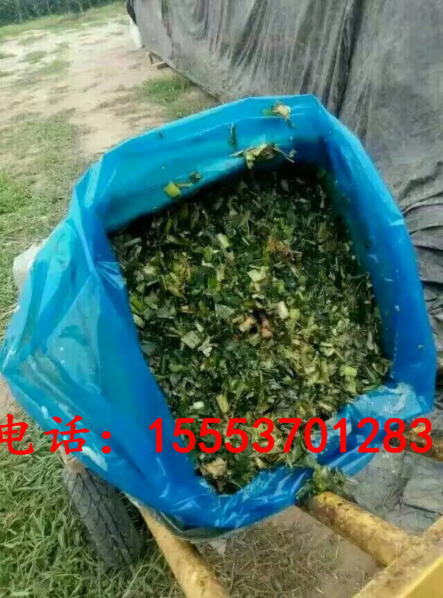 卧式套袋打包机  玉米秸秆青储压块机