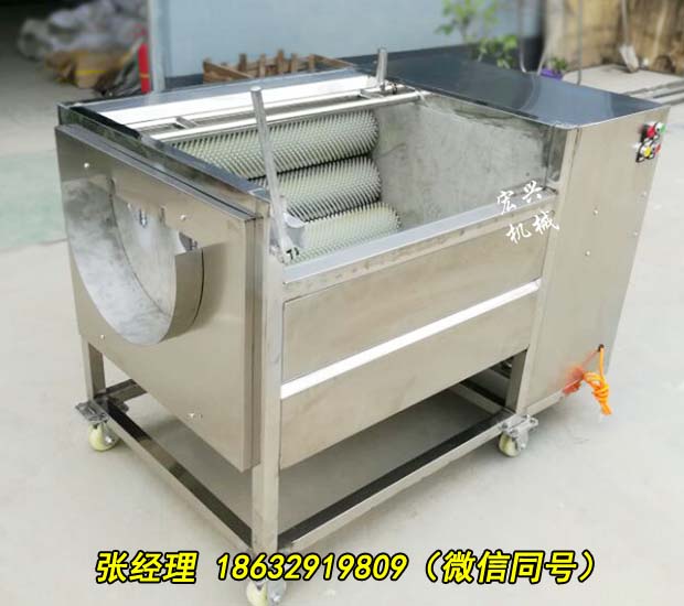肇庆多功能清洗去皮机厂家直供效果好