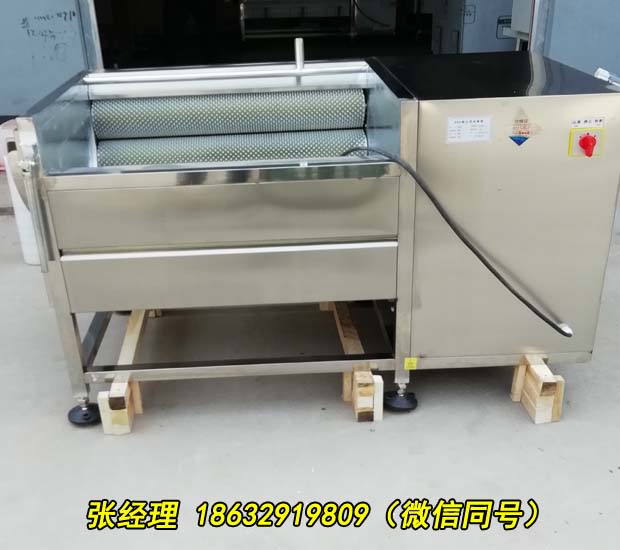 南通多功能土豆清洗去皮机一机多用价格实惠