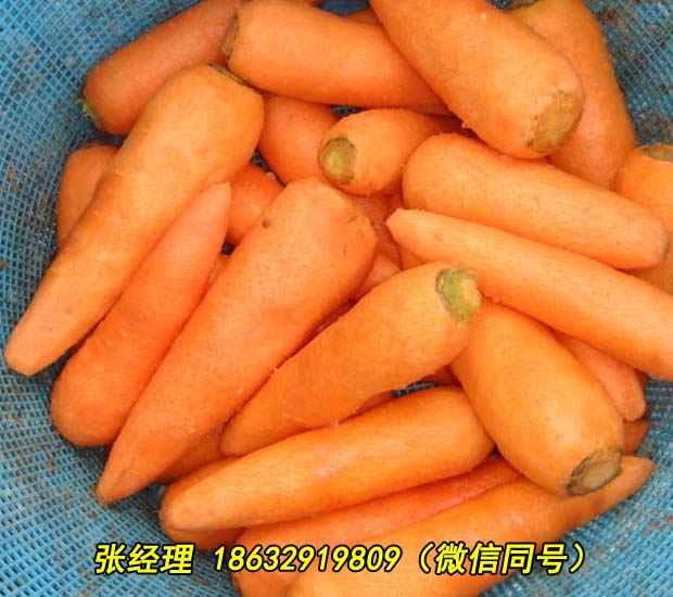 无锡全自动果蔬清洗去皮机厂家销售价格低