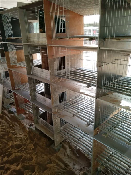 商品兔笼 兔笼结构 兔笼制作 竹板兔笼价格 镀锌兔笼
