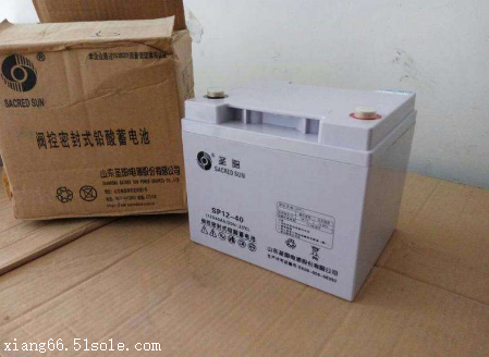 山东圣阳蓄电池SP12-33 12V33AH/20HR_洛必达网