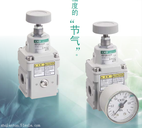 RPE系列减压阀 节气型/喜开理CKD
