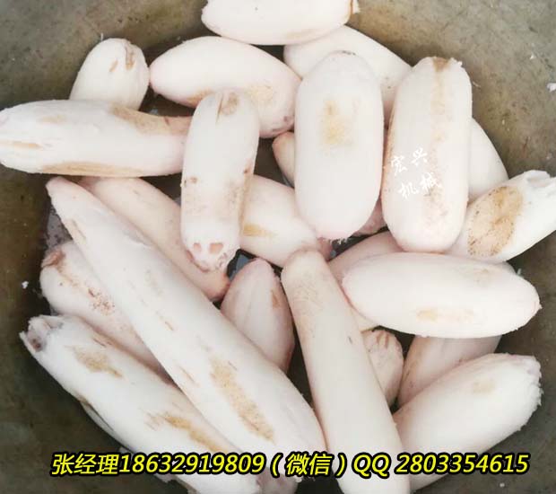 漳州中草药清洗机器多功能毛刷清洗机厂家