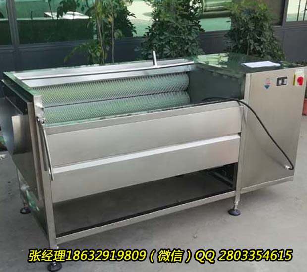 大同厂家专业生产多功能毛辊去皮清洗机