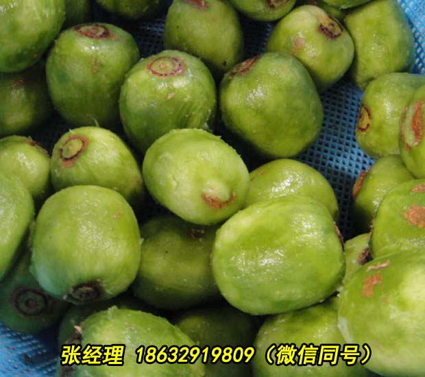 沂州莲藕清洗机器柑橘类水果洗涤去污设备
