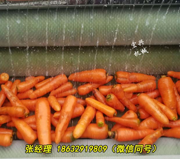 晋中多功能清洗去泥设备全自动去皮机报价