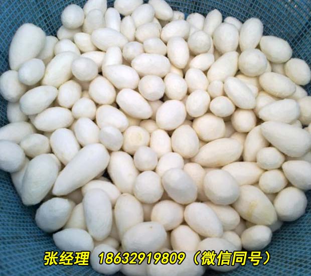 晋中多功能清洗去泥设备全自动去皮机报价