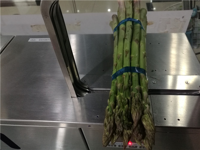甘鲁捆扎机/甘鲁微捆/环保无胶的蔬菜捆札