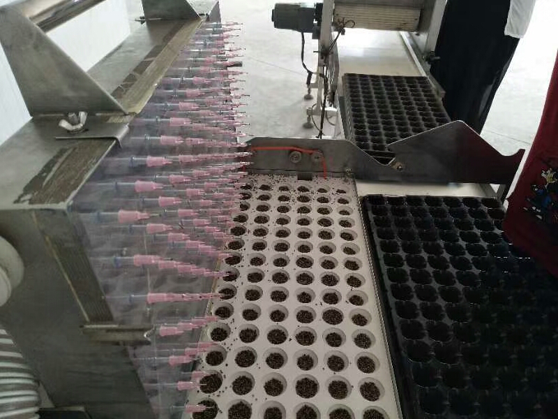 穴盘播种机 点播机 育苗播种机--常州风