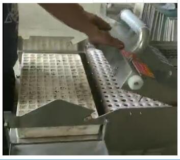 漂盘育苗播种机  泡沫穴育苗播种机