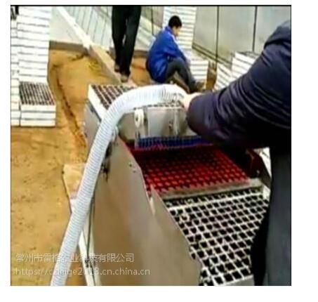 漂盘育苗播种机  泡沫穴育苗播种机