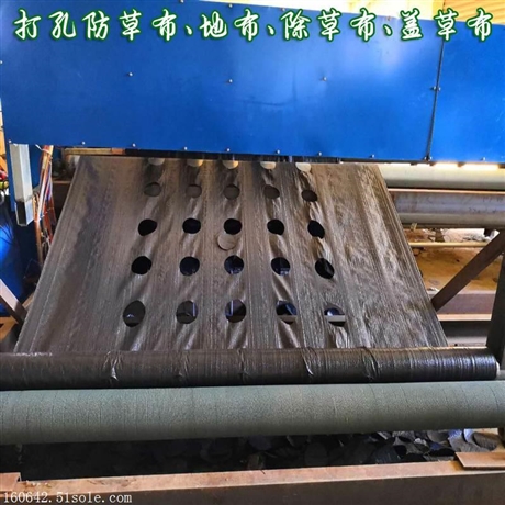 打孔防草布制造视频 切片打孔防草地布图片 定制各种大小孔