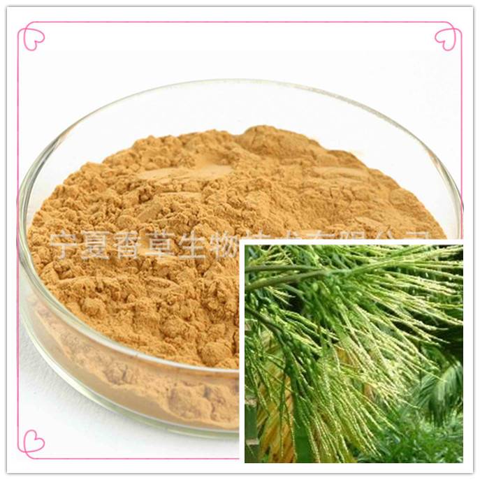 槟榔花提取物 花速溶粉 浸膏粉 槟榔花多糖 提取液