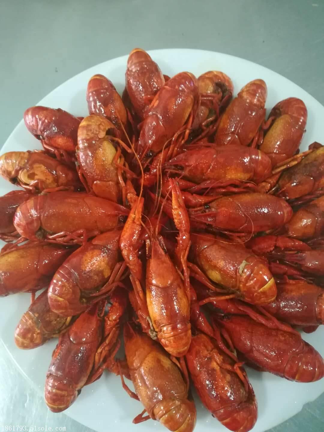 湖北卤虾培训,卤虾做法学习