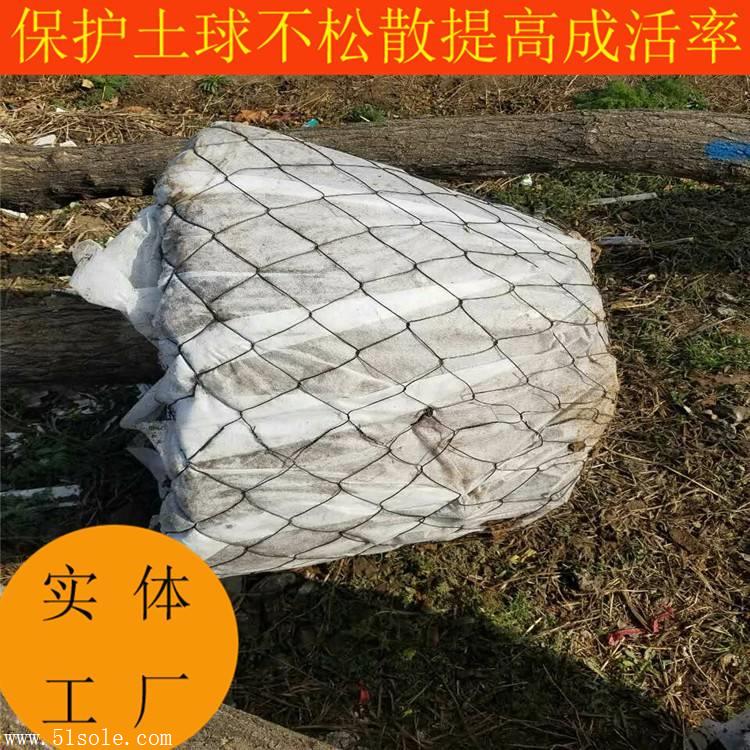 现货30cm包土球树根网绑树根的网大树移栽铁网大树移动网篮