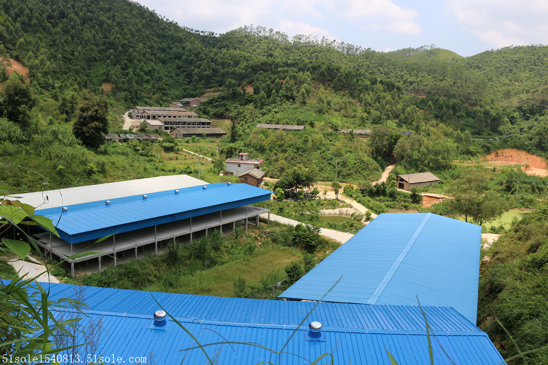 陆宝生态养殖陆川土猪