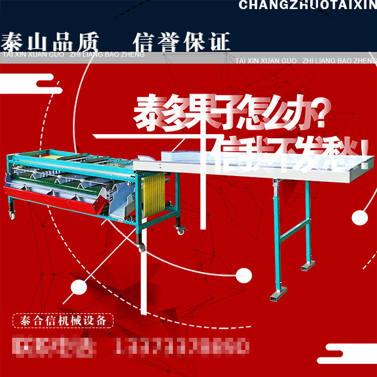 泰信牌百香基础款分级机 分选机 果蔬分大