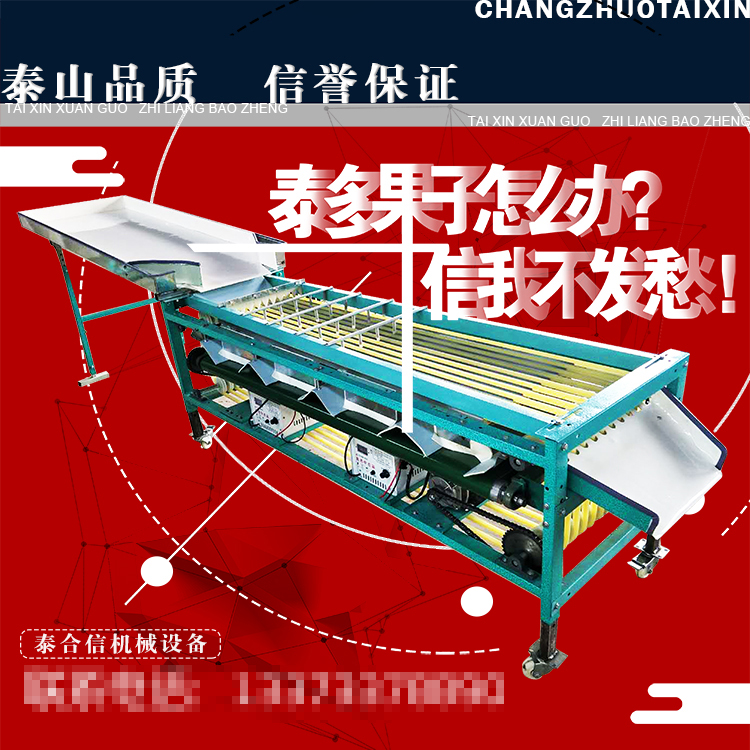 泰信牌百香基础款分级机 分选机 果蔬分大