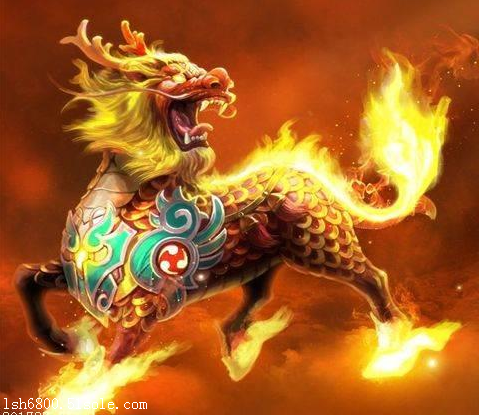 九哥大厅房卡一张要多少钱