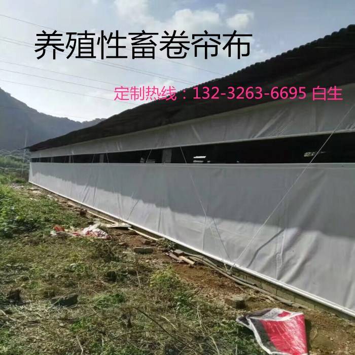 牛栏卷帘布定制厂家 牛场卷帘布图片 牛舍卷帘布价格