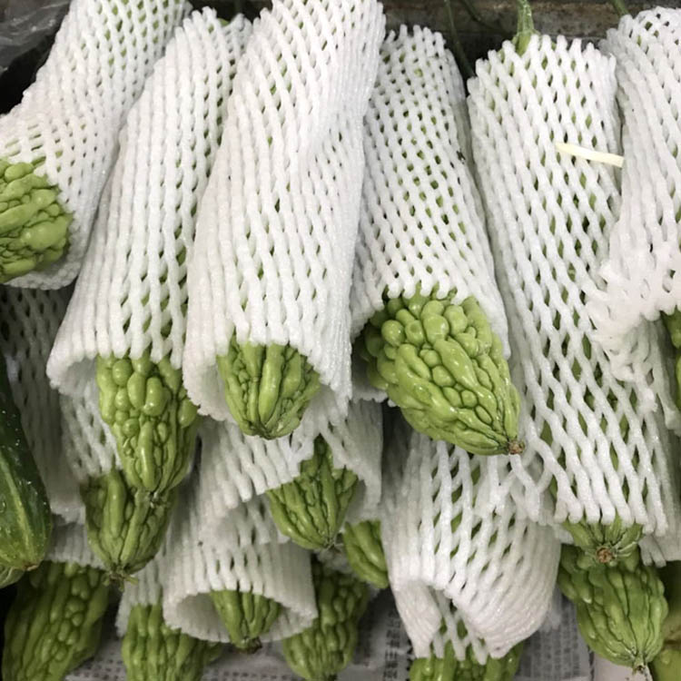 潍坊丝瓜发泡网机冬瓜包装网套网膜机