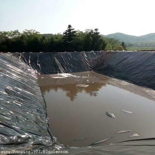 养殖场氧化塘防渗膜