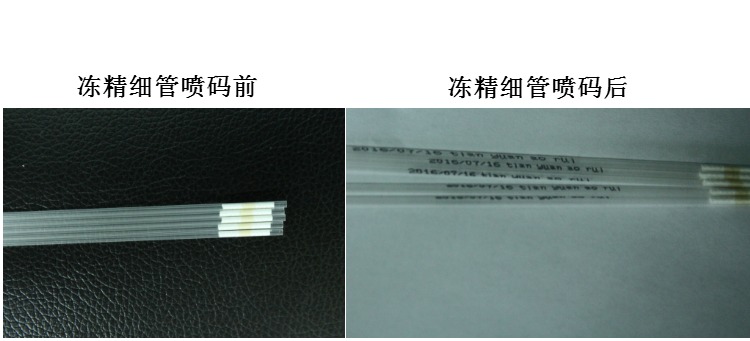 犬用冻精稀释液