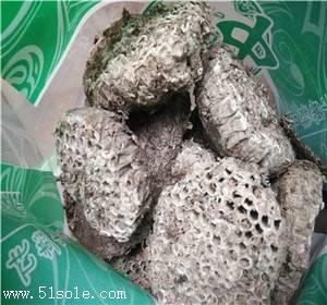 中药材天香炉哪里能买到 天香炉品种优良