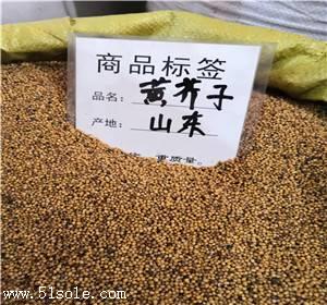 中药材芒硝哪里能买到 芒硝多少钱一斤我想买