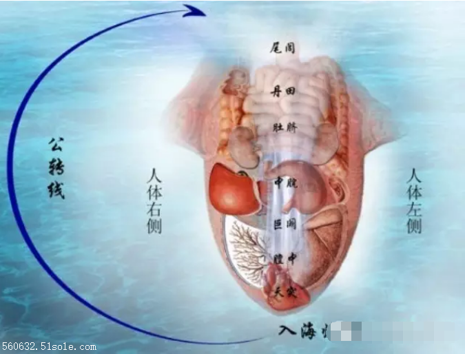 舌诊快速入门关于舌诊特色医疗