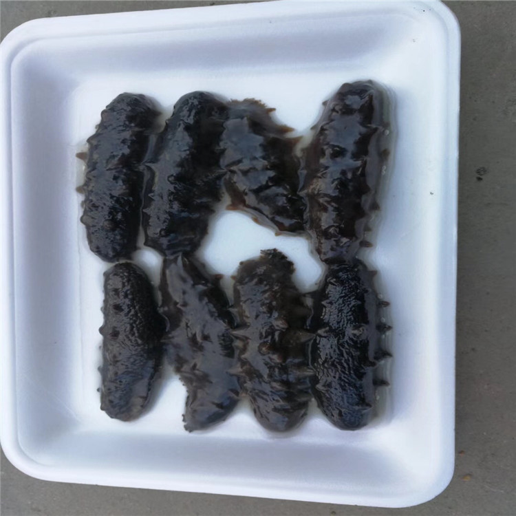 全自动贴体真空包装机 海产品贴体包装机