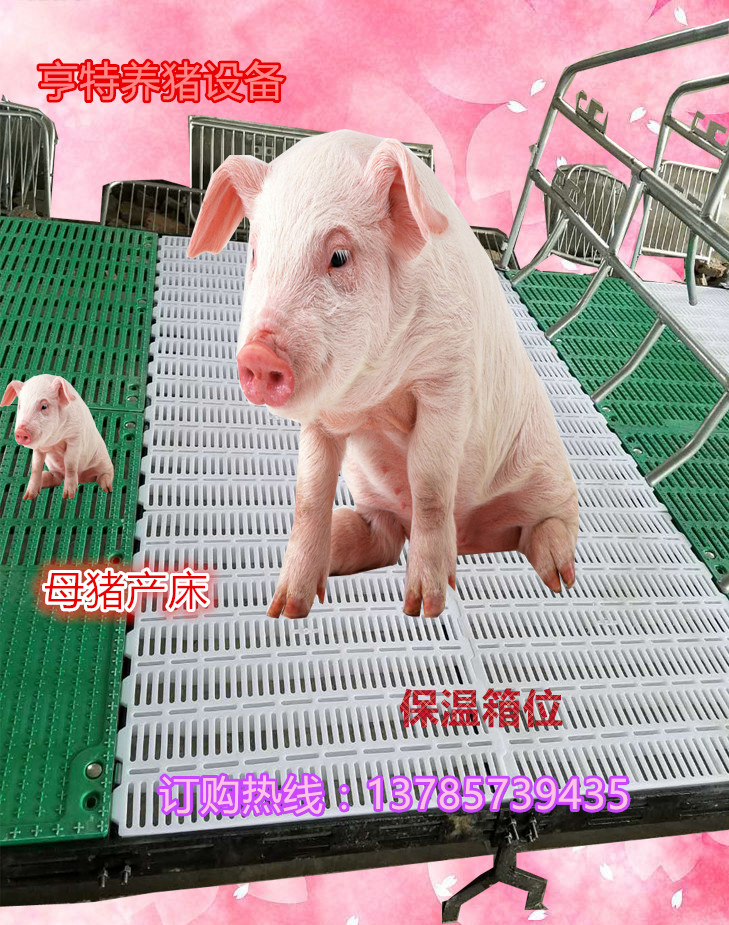 养猪专用双体产床亨特厂家直销