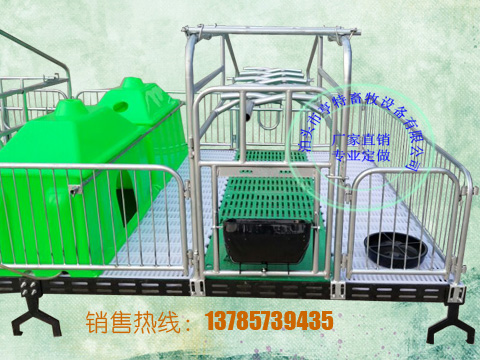 养猪专用双体产床亨特厂家直销