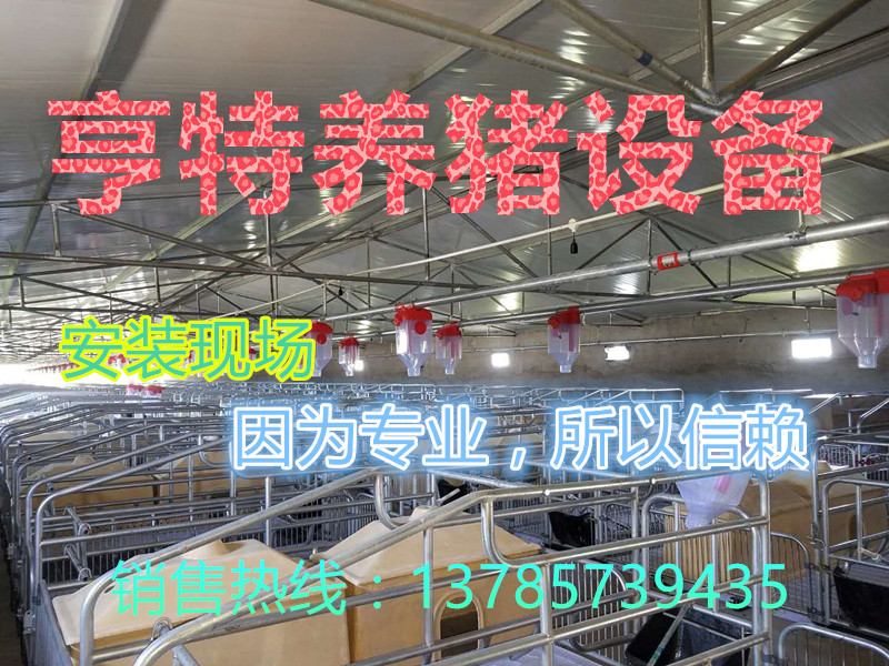 养猪专用双体产床亨特厂家直销