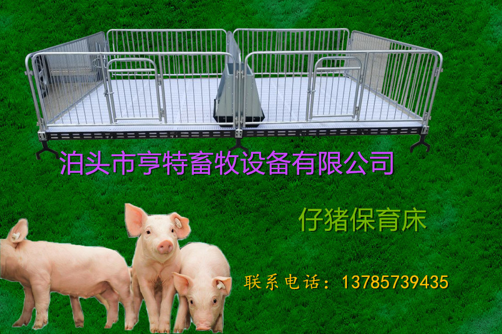 养猪专用猪仔保育床亨特厂家直销