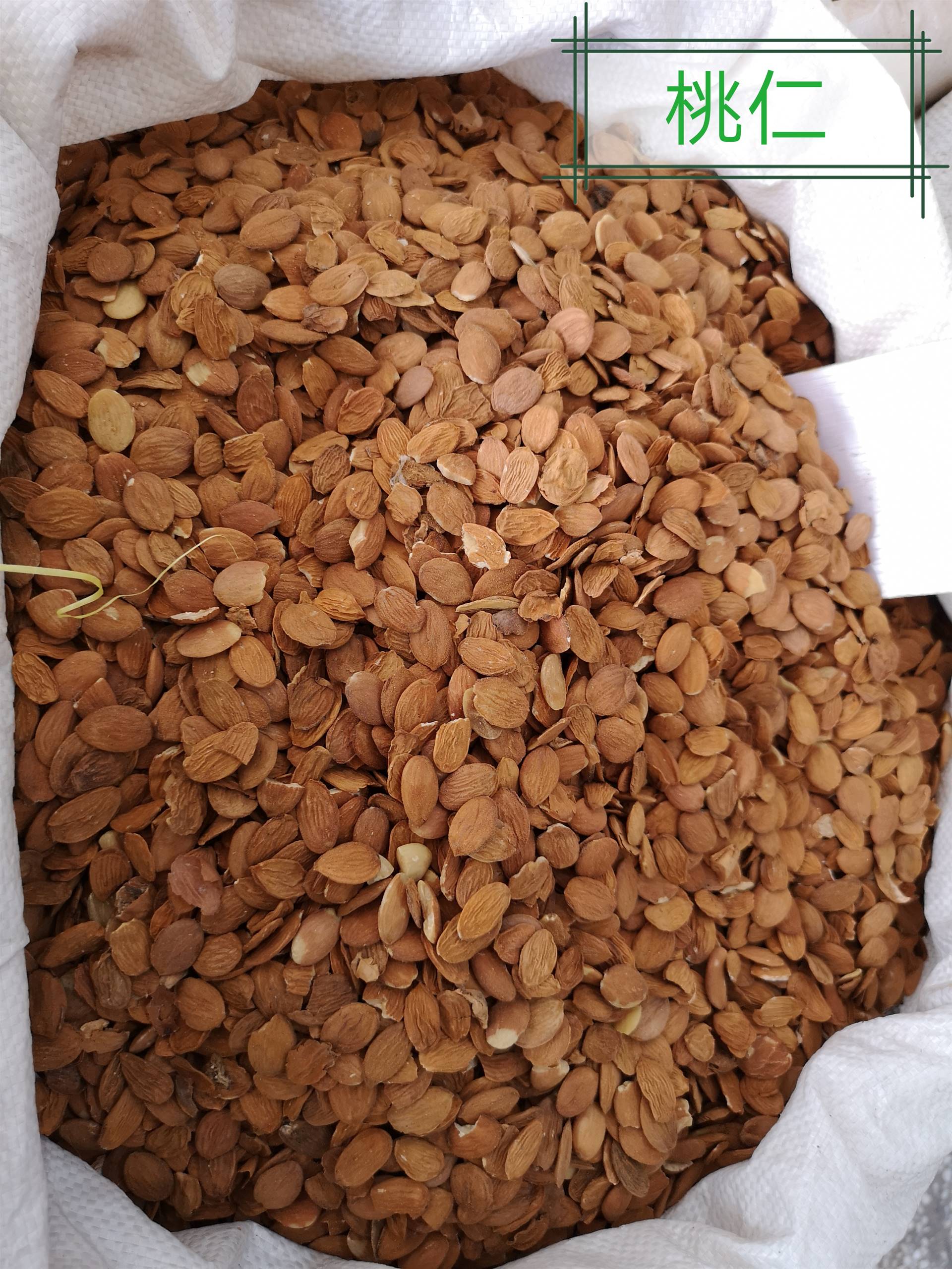 亳州市谯城区祥刚中药材专业合作社 桃仁的作用与功效,桃仁市场批发价