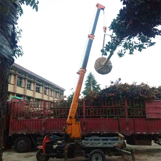 山东移动式三轮小型吊车 五征三轮随车吊