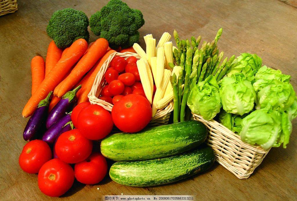 有机绿色食品是指什么类型的食物?